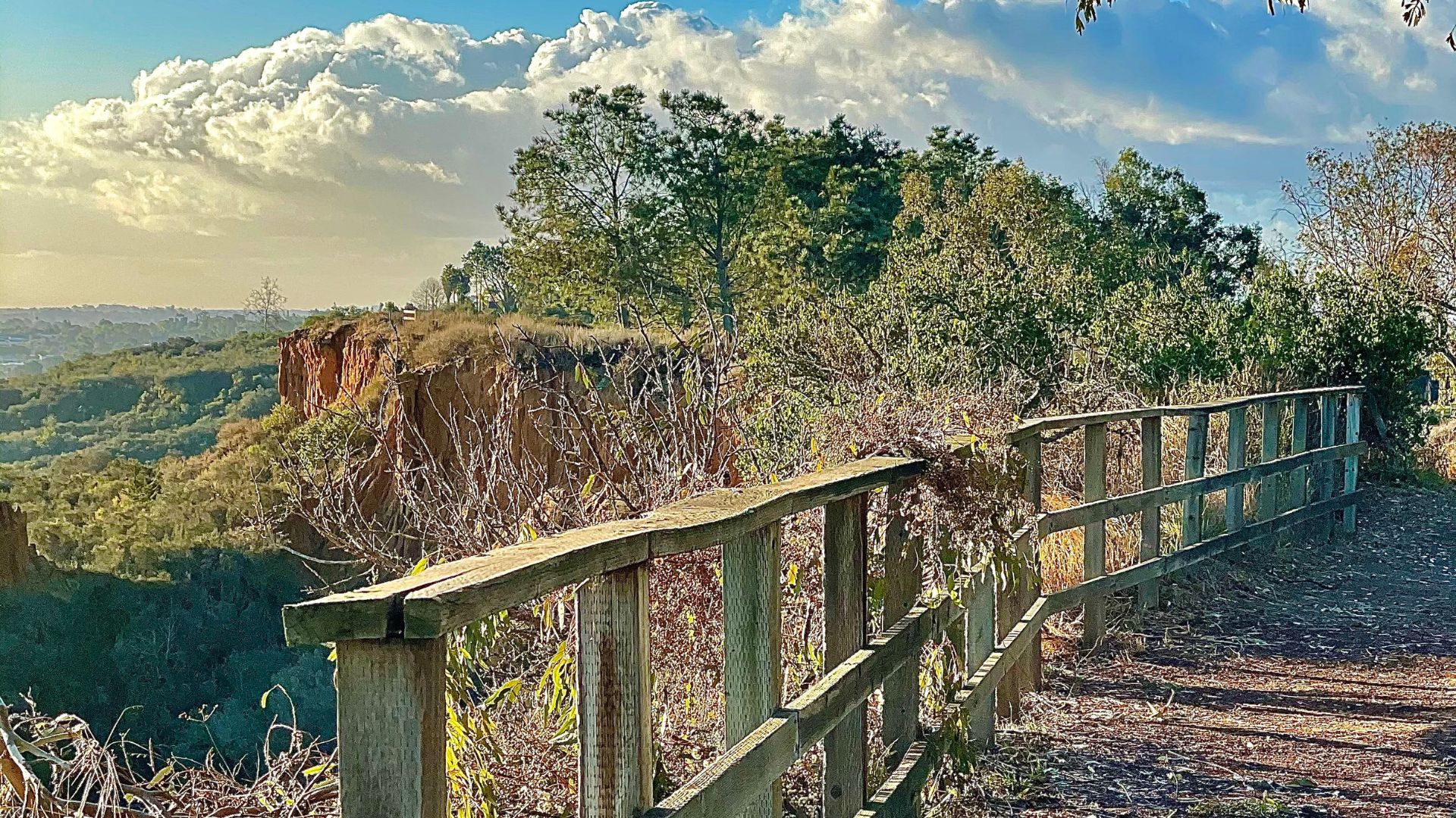 Discover the unspoiled charm of Encinitas' trails, from serene coastal paths to adventurous hillside hikes.