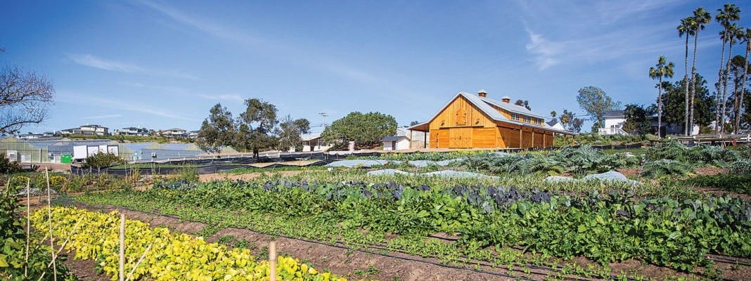 Coastal Roots Farm: Embracing sustainable farming with a pay-what-you-can approach.